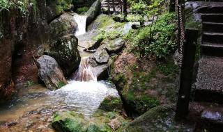 8月武夷山免票吗 武夷山两日游